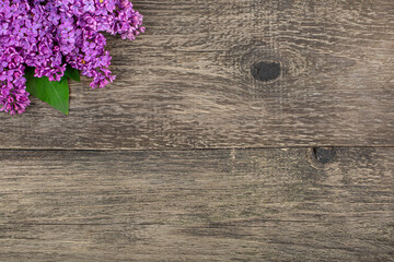 Wall Mural - Purple lilac flowers on a blue background, copy space