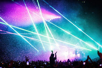 Wall Mural - crowd of people dancing at the concert