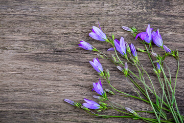 Wall Mural - Bell flowers on an old wooden background, copy space