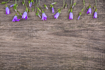 Wall Mural - Bell flowers on an old wooden background, copy space