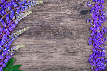 Wall Mural - Frame of purple lupine flowers on an old wooden background, copy space