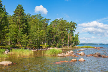 Poster - Beautiful landscape view on a lake shore