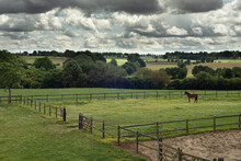 Meadow With A Horse And Wooden Fences In A Rolling Landscape Under A Cloudy Sky.