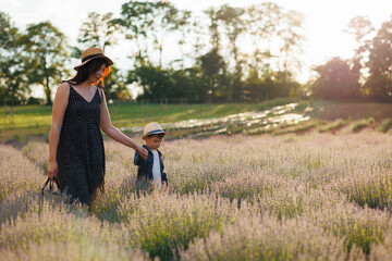 Wall Mural - Cute mother and her little son are walking at sunset in the lavender field