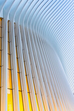 World Trade Center Station (PATH), A New Transit Hub Called Oculus, Designed By Santiago Calatrava,