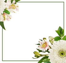 White Flowers Of Gerbera And Alstroemeria With Green Decorative Leaves In A Floral Corner Arrangements And A Green Frame Isolated On White