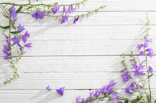 Bluebell Flowers  On White Wooden Background