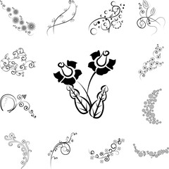 Poster - decorative flowers, hand draw icon in a collection with other items