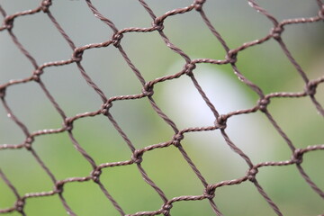 Chain link