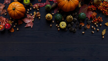Harvest Wallpaper Including Gourds, Acorns, Fall Leaves And Fruits.