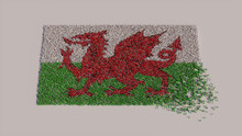 A Crowd Of People Coming Together To Form The Flag Of Wales. Welsh Banner On White.