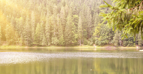 Sticker - Beautiful landscape with lake in green forest