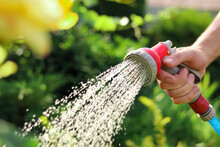 Man Watering Plants From Hose In Garden, Closeup
