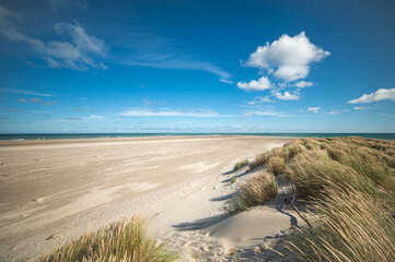 Wall Mural - Beach at Skagen, the top of Denmark. High quality photo