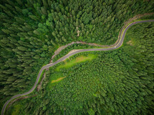Aerial View Of A Coniferous Forest Through Which A Winding Road Passes In The Mountains