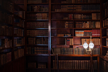 vintage library background, bookcase and shelves with old books, antique shop
