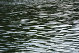 Fototapeta Kwiaty - Ripples on water surface - sky reflection