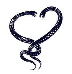 Two snakes fighting vector classic style symbolic tattoo, venomous serpents struggling.