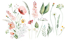 Bouquet Made Of Watercolor Wildflowers And Leaves, Wedding And Greeting Illustration Elements