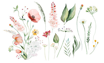 Wall Mural - Bouquet made of watercolor wildflowers and leaves, wedding and greeting illustration elements