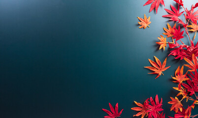 Wall Mural - autumn and thanksgiving decoration concept made from autumn leaves on dark background. flat lay, top