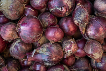 Wall Mural - red onion full frame top view on fresh organic harvested onions stack bunch pile