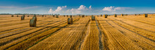 Panoramic View Of A Line Of Stubble Harvested In A Field Of Wheat And Bales Of Straw In Rolls Against A Background Of A Beautiful Sky
