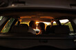 © Andrii  - Romantic couple in sunlight from sunset kissing while sitting in car during trip