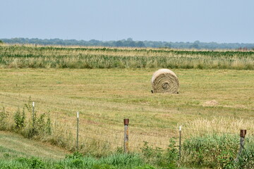 Poster - Hay Bale by a Fence Row in a Farm Field