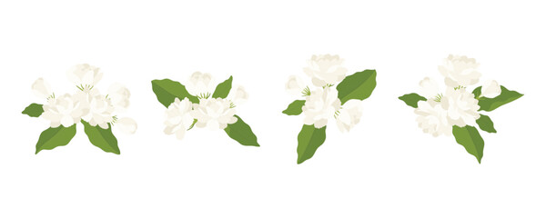 Wall Mural - Hand drawn collection of jasmine flower illustration.