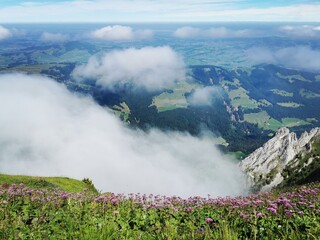 Poster - Appenzell 