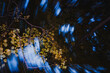 © Ivan Andrianov/Stocksy - Evening Tree In Motion Texture Abstract Pattern