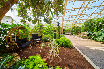 Wall Mural - Path in greenhouse gardens with two chairs and glass roof