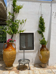 Alberobello, Italy, Apulia region Trullo buildings, still life of large, handled, brown olive oil urns filled with flowers in front of whitewashed stone wall