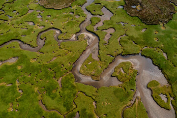 Wall Mural - top down view of the creeks and pools and rivers of the Carrowmore Lacken saltmarsh in northern County Mayo