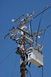 Electricity distribution pylon with power lines under blue sky