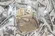 © Pixel Stories/Stocksy - US dollar cash money in a glitz purse against glittering background