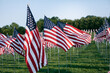 © Sean Locke/Stocksy - Display Of Thousands Of United States Flags