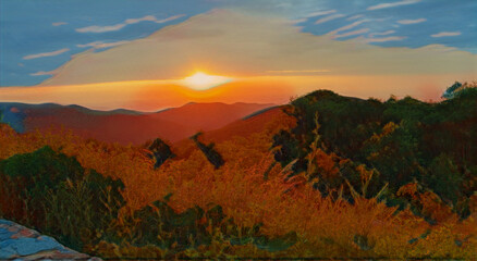 Wall Mural - Sunrise over meadows, mountains of Shenandoah National Park.  With plants, flowers, and stone wall. 