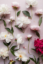 Peonies On Pink Marble Background