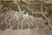 Abstract Image Of Wetlands 