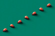 © Giada Canu/Stocksy - a row of pink ladybugs