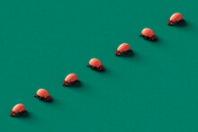 A Row Of Pink Ladybugs