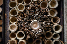 Circular Patterns Of Insect Hotel