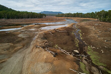 Deforestation, Tree Stumps, Environmental Damage, Dry River Reservoir