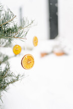 Dried Orange Slice On Christmas Tree 