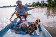 A Fisherman Checks Nets With His Cats