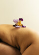 © Sophia Hsin/Stocksy - Single iris flower on bare back of person