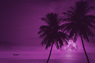 Wall Mural - palm tree and sea at full moon on night sky