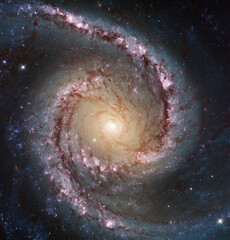 Wall Mural - spiral galaxy ngc 1566. constellation of dorado. elements of this picture furnished by nasa